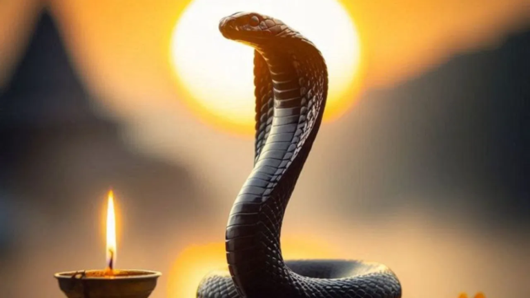 Nag Panchami: A Festival of Snake Worship, Tradition, and Conservation