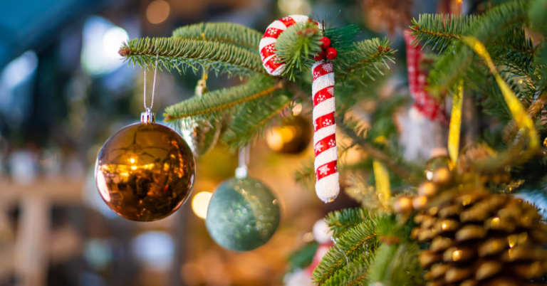 Thoughtful Christmas Gift Ideas: Health, Wellness, and Self-Care Essentials