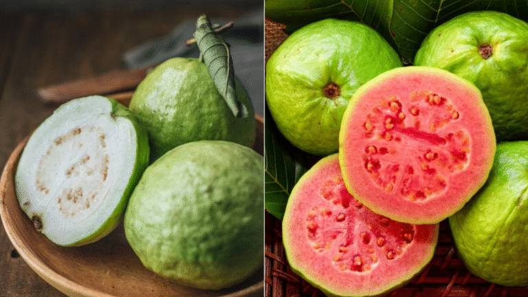 White Guava vs Red Guava: Which Guava is Better for Your Health?