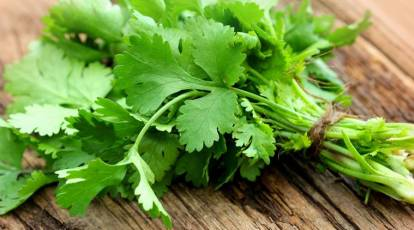 Amazing Health Benefits of Coriander (Dhaniya) You Should Know